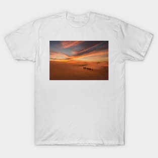 Camel caravan in Sahara desert at sunset T-Shirt